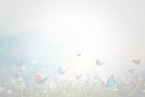 butterflies background