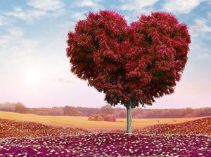 gestalt love heart tree