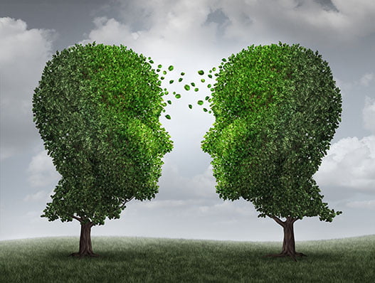 opening to grace gestalt clinical supervision tree metaphor image