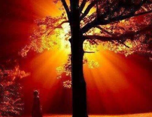 Our Constant Companion …